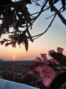 Vista Mare