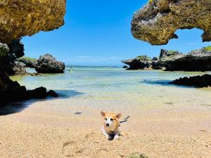 Maedamisaki Grand Blue 103