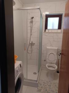Studio Apartment Nikola