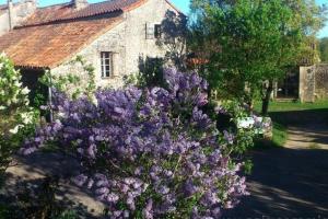 Maisons de vacances Maison Larzac Cevennes Grand Gite : photos des chambres