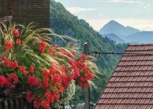 Apartma Bela - 波希基斯卡贝拉