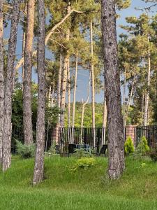 Hotel უცხო-utskho