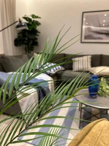 1C Boutique Apartments NR14