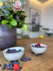 1C Boutique Apartments NR14