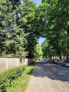 Уютный лофт среди старых парков