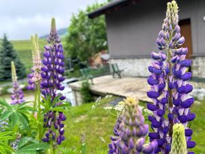 Chalets Peaceful chalet near the ski slopes 8 people : photos des chambres