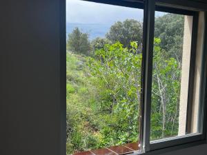 Apartaments La Pertusa 2o
