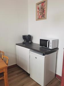 Appartements Les Camelias : photos des chambres