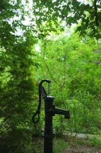 Leśny kasztel pod sosnami. Pokój w koronach drzew.