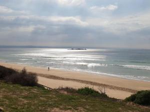 Bliss at Diaz