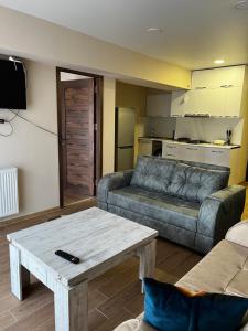 BAKURIANI INN Serviced Apartment 439