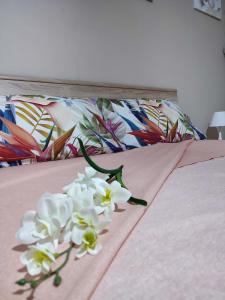 Monte Granatico img20