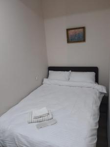 Cozy place at Vazisubany