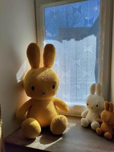 Appartements La maison de Miffy : photos des chambres