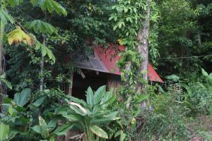 Konsenda Bocas del Toro