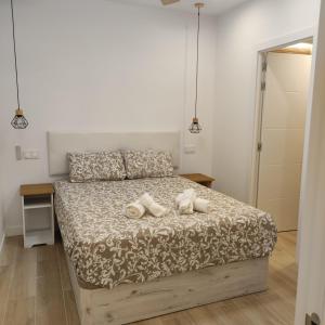 AV. Asturias Apartamento