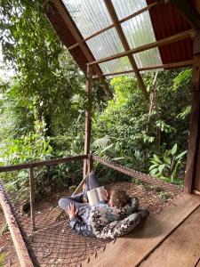 Konsenda Bocas del Toro