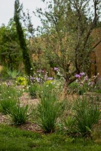 Appartements L'Atelier Tiny House Provence : photos des chambres