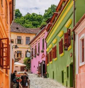 The Throne - M Museum Hotel - 达内什