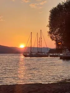 Bamboleo Montenegro - Mrčevac