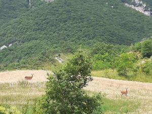 Nel cuore della maiella