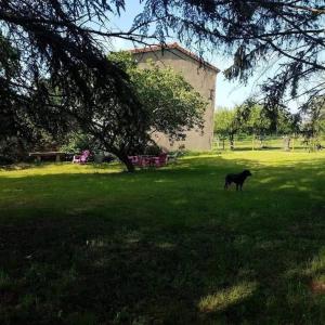 Maisons de vacances Gite au calme dans le Parc du Livradois-Forez : photos des chambres