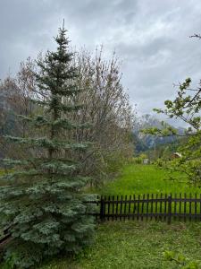 Appartements En pleine nature avec jardin : photos des chambres