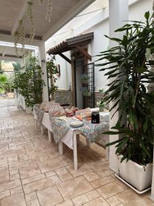 Tenuta Santa Caterina img20