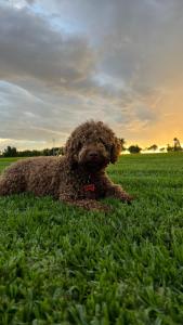 SAN BENITO LA CASA DE MIS ABUELOS