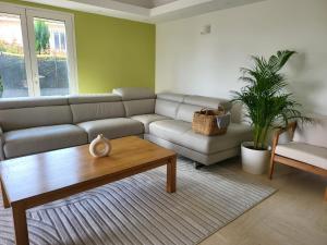 Rez-de-Villa "Clos Saint-Sauveur" modern and chic, 160m2, swimming pool, terrace