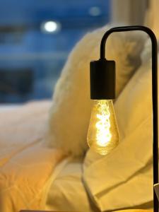 Blackbird San Martin