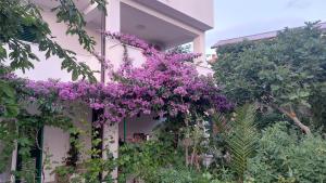 Apartments Plavi&Žuti