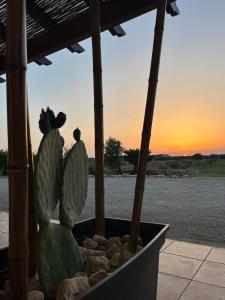 Tenuta Ingegna Apartments