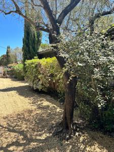 Villa de charme en campagne avec piscine privée et nature luxuriante