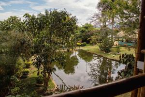 CASA DEL ÁRBOL, Romántico, Piscina, en Chinauta, el mejor clima