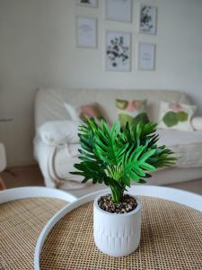 Duplex Le Reflet du Lac