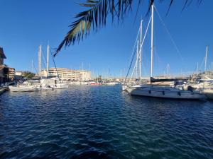 Port FREJUS OPEN 2 pieces 40m2