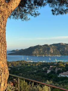 Appart'hotels Residence Marina Di Santa Giulia : photos des chambres