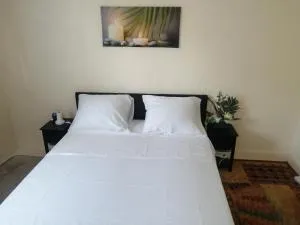 Chambre dans Appartement à Niort - Saint-Rémy