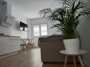 Apartamento Al Sur Tarifa 4