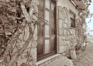 Baredinka Izola - Srgaši