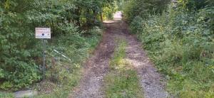 Domček pod lesíkom