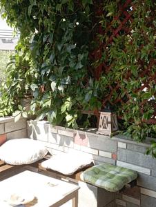 Artemis Apartment