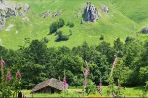 Cabaña Pasiega "La Reina del Paraíso" - La Concha