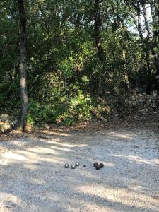 Villa centre var 3 étoiles avec piscine privée