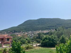 Village House with Mountain View