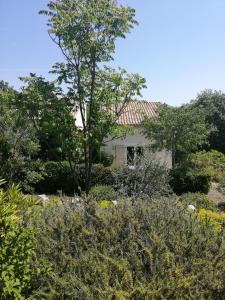 Maisons d'hotes Chambres d'hotes Le Mas de Molines : Chambre Double - Vue sur Jardin