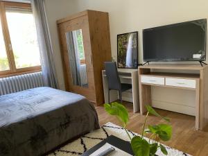 Chambre privée vue sur le jardin proche centre ville