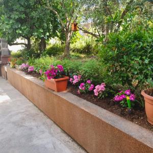 Apartma Lana21