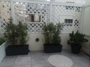 Domus Cervantes Apartment